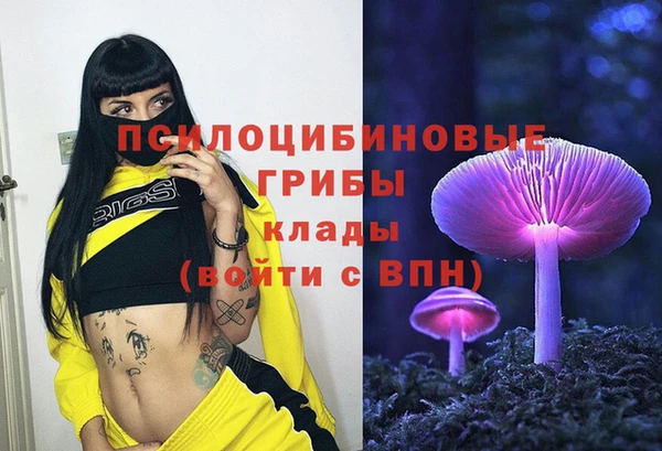 ГАЛЛЮЦИНОГЕННЫЕ ГРИБЫ Бородино
