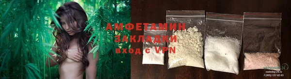 ГАЛЛЮЦИНОГЕННЫЕ ГРИБЫ Бородино