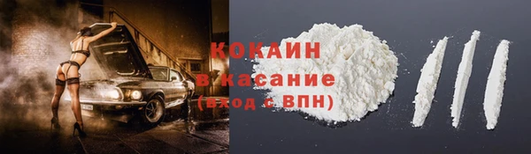 ГАЛЛЮЦИНОГЕННЫЕ ГРИБЫ Бородино