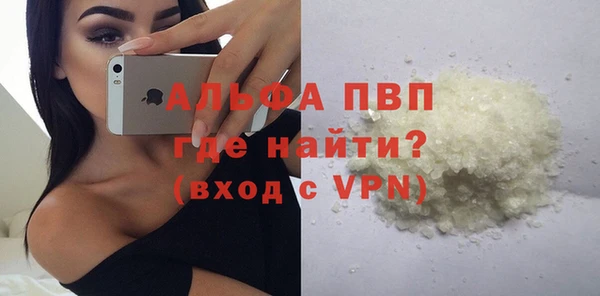 ГАЛЛЮЦИНОГЕННЫЕ ГРИБЫ Бородино