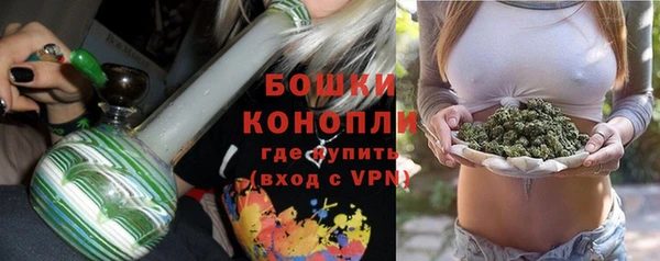 ГАЛЛЮЦИНОГЕННЫЕ ГРИБЫ Бородино