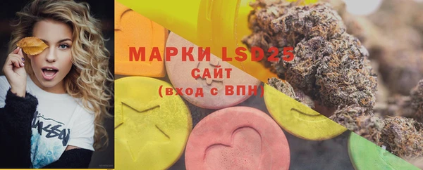 дурь Бронницы