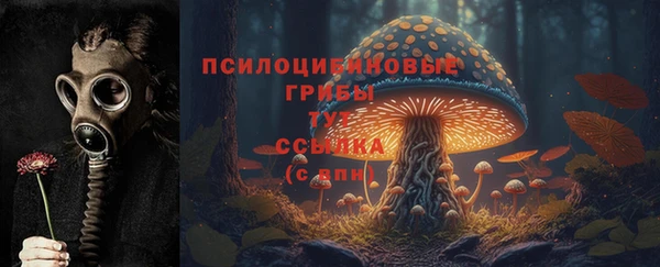 дурь Бронницы